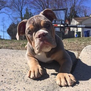 Meet your Posher, Jon